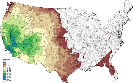 2tax65_Eriogonum.png 2tax65_Eriogonum.png